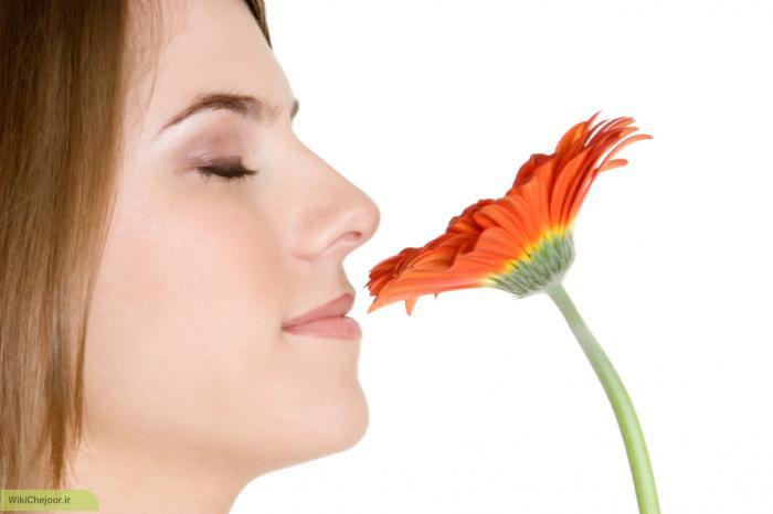 چگونه حس بویایی خود را تقویت کنیم ؟