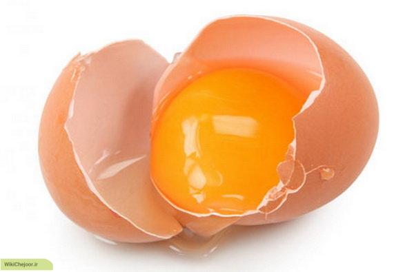 چگونه تخم مرغ سبب سلامتی تمام خانواده می شود؟