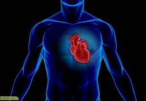 چگونه علایم سکته قلبی را تشخیص دهیم؟