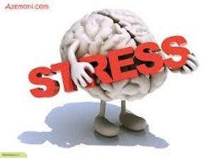 چگونه استرس می‌تواند باعث افزایش کارایی و تقویت عملکرد شود ؟