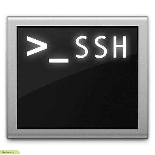 چگونگی پیدا کردن فایلهای حجیم در سرورهای لینوکس از طریق SSH ؟
