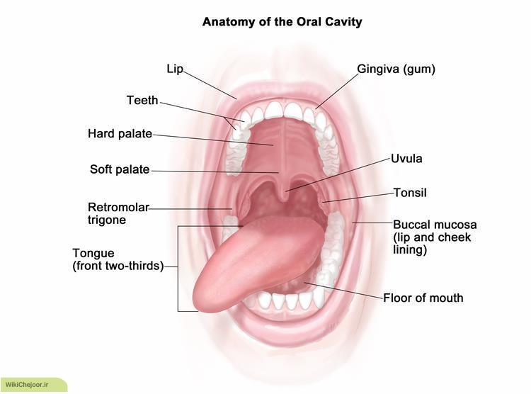 چگونه نشانه های بیماری جسمی در دهان را بشناسیم؟