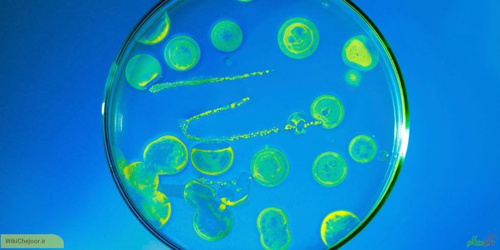 چگونه عفونت های باکتریایی را در منزل درمان کنیم؟