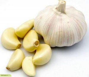 garlic-Properties-amazing-ir-1
