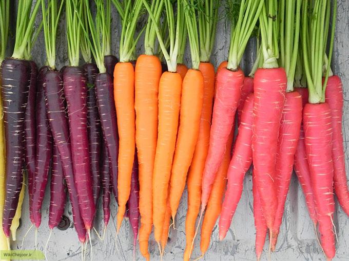 چگونه در باغچه هویج بکاریم؟