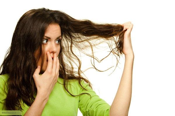چگونه میتوان موهای خشک را درمان کرد؟