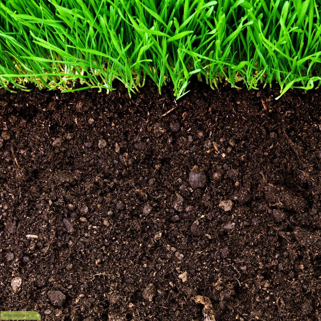 خاک باغبانی | چگونه خاک های باغبانی تهیه نماییم؟
