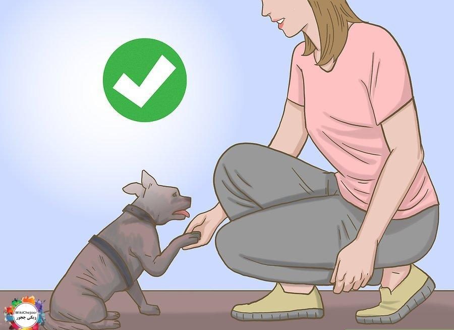 How to Be Animal Friendly